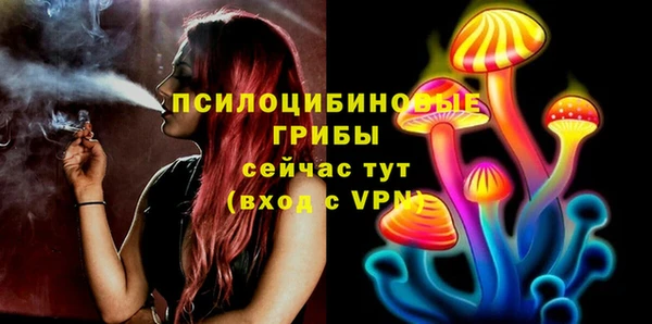 экстази Пестово