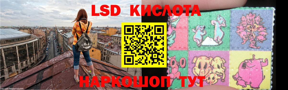 Волжск  Лсд 25 экстази кислота  Вход с VPN 