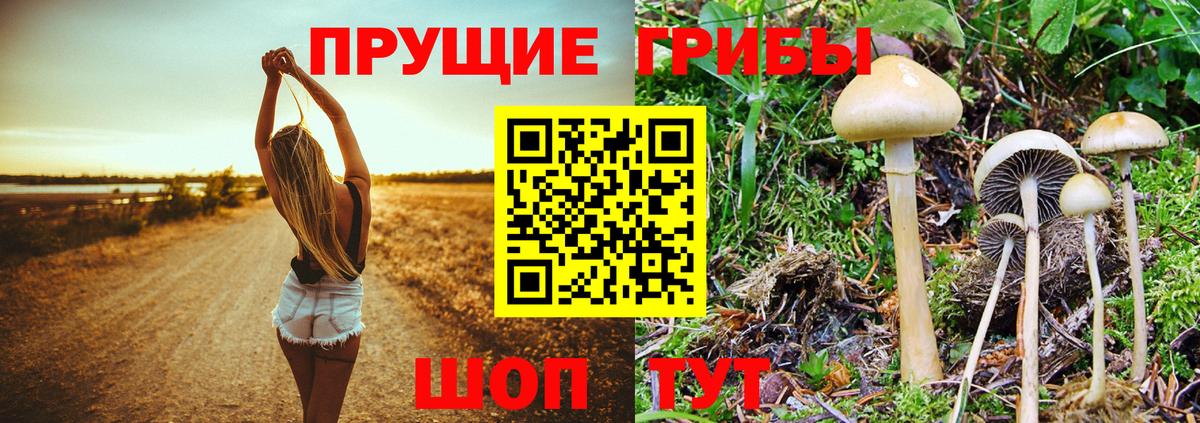 Галлюциногенные грибы ЛСД Волжск