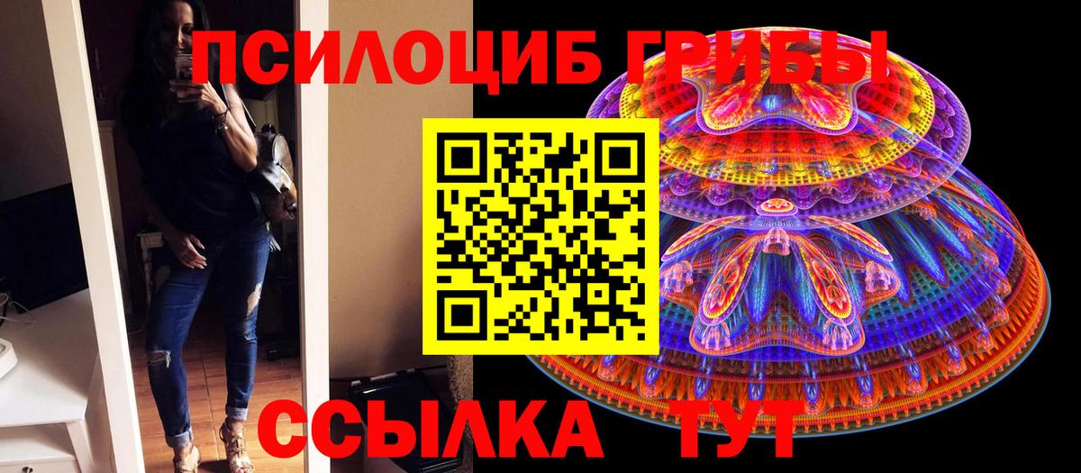 купить наркотики цена  Волжск  Псилоцибиновые грибы MAGIC MUSHROOMS 