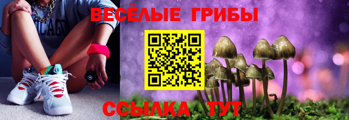 Псилоцибиновые грибы ЛСД  Псилоцибиновые грибы ЛСД  Волжск  Вход с VPN 