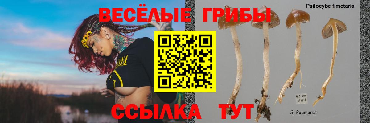 Alpha PVP  Молли  Кетамин  Волжск  МЕФ  Хэш  МЕФ  МДМА  Cocaine  Гарик  Канабис  Вход с VPN  Масло THC 