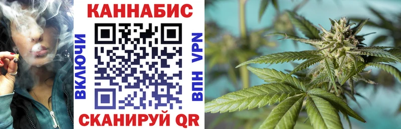 купить наркоту  Волжск  Бошки марихуана семена 