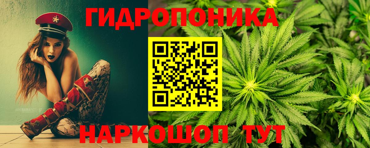 Конопля SATIVA & INDICA  Волжск  Бошки Шишки SATIVA & INDICA  Каннабис тримм 